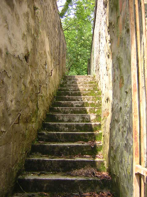 Stairway to the garden